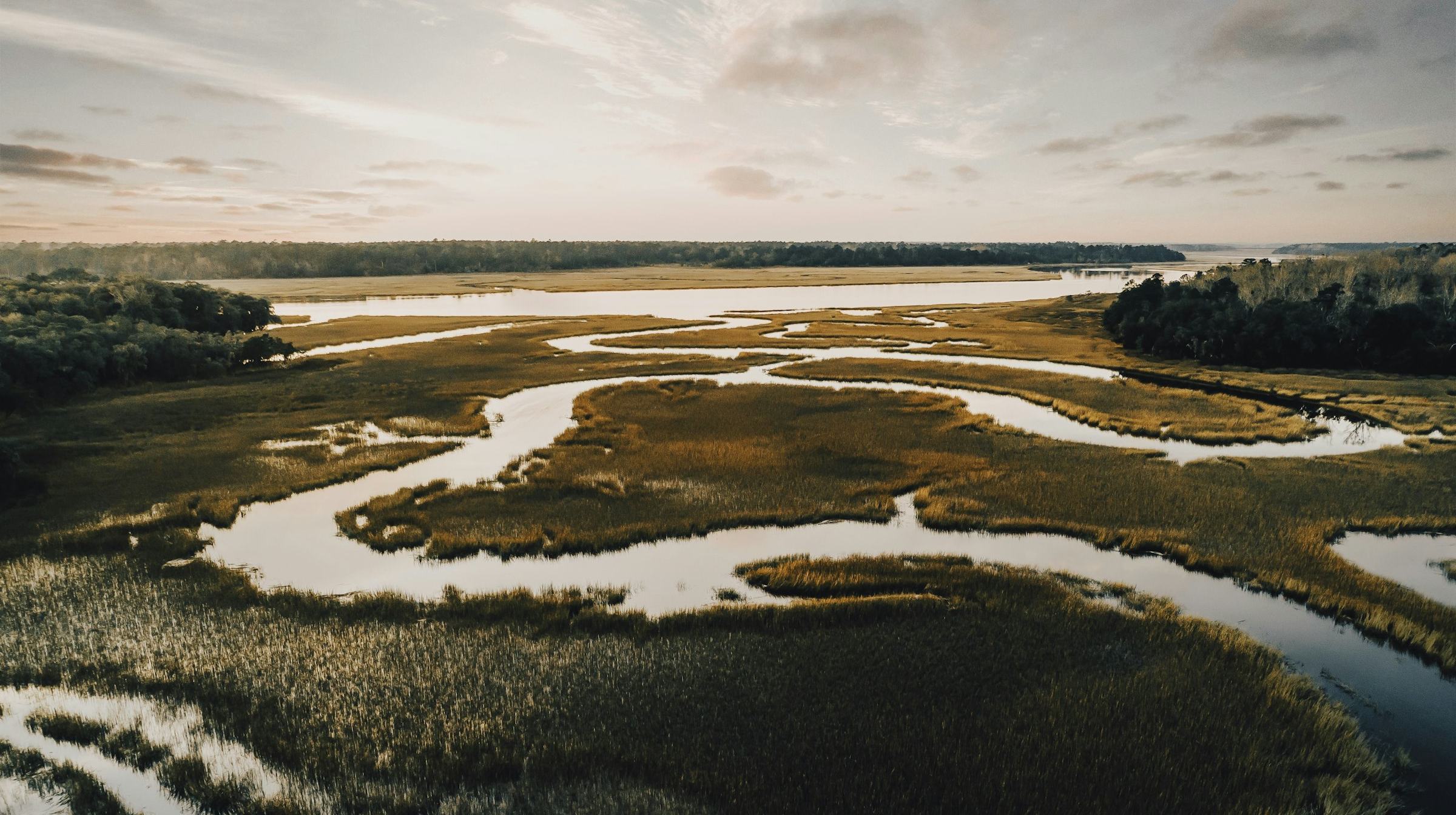 A tidal salt marsh at first light, a river winding through the grass toward a wooded shore.